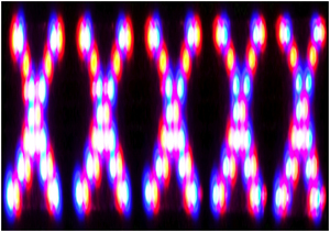 20101014142721-00420101015