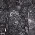 20101015221427-orf_001