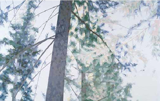 Beyond - Carnelian Bay,Elaine Coombs