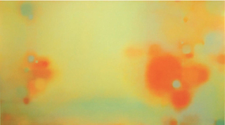Ryoanji,Julian Jackson