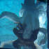 20101017104324-framedfloat_01