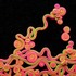 20101017145336-pink___green_on_black_2__350