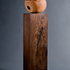 20101018112522-_feldman_epilogue_front__lr