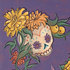 20101018120229-dfrnt_skull_001_400h