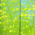 20101018184958-spring_burst_1
