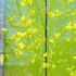 20101018185130-spring_burst_3