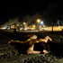 20101019120115-_cwf1036