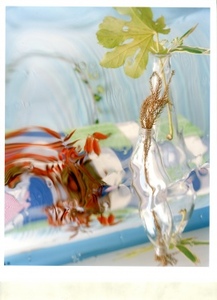 20101019170203-thumbnail