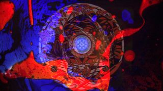 Out of Our Depth,Single Wing Turquoise Bord Light Show
