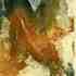 20101020030646-_pluma_6x9cm_papel_19x28cm__30ejem001