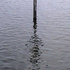 20101020094014-fluss_index