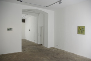 20101211090800-_igp5470