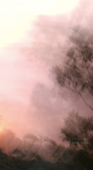 SunSmokeFire,Bryan Elliott