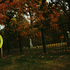 20101022231858-blossolm_time_1