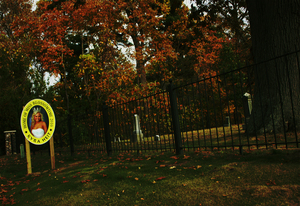 20101022231858-blossolm_time_1
