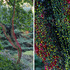 20101023133016-icarus_plus_detail