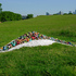 20101023133252-11_landscape_and_life_form