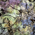 20110222184108-winter_spring_summer_fall