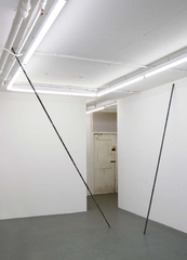 Untitled (Phylliidae version),Adam Thompson