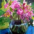 20101024030544-mixed_bouquet