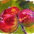 20101024032102-maltese_apples