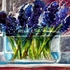 20101024032607-hyacinth_in_a_bowl