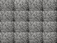 20101024101432-dscn1369
