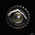 20101024103932-eye_spy