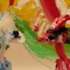 Butterfly_582