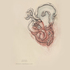 20101024150749-cardiographicstudy