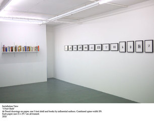 5 Foot Shelf (installation view),Alan Brooks