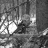 Hunter_2