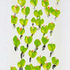 20101025125907-sultan_-_greens