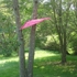 Canopy5