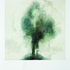 20101027075231-polaroid-two_trees