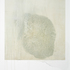 20101027075455-polaroid-stain_1