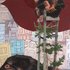 20101027091824-drunk_monkeys