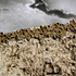 20101027103936-28_daniel_thompson_crop