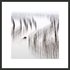 20101027143718-curve_kyle_wong_framed