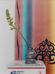 ,Annette Kelm