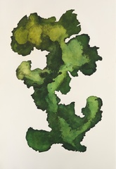 Canopy,Scott Reeds