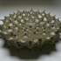 Ball_of_spines_ii__9__pr
