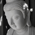 20101028125703-buddha_50_full_web