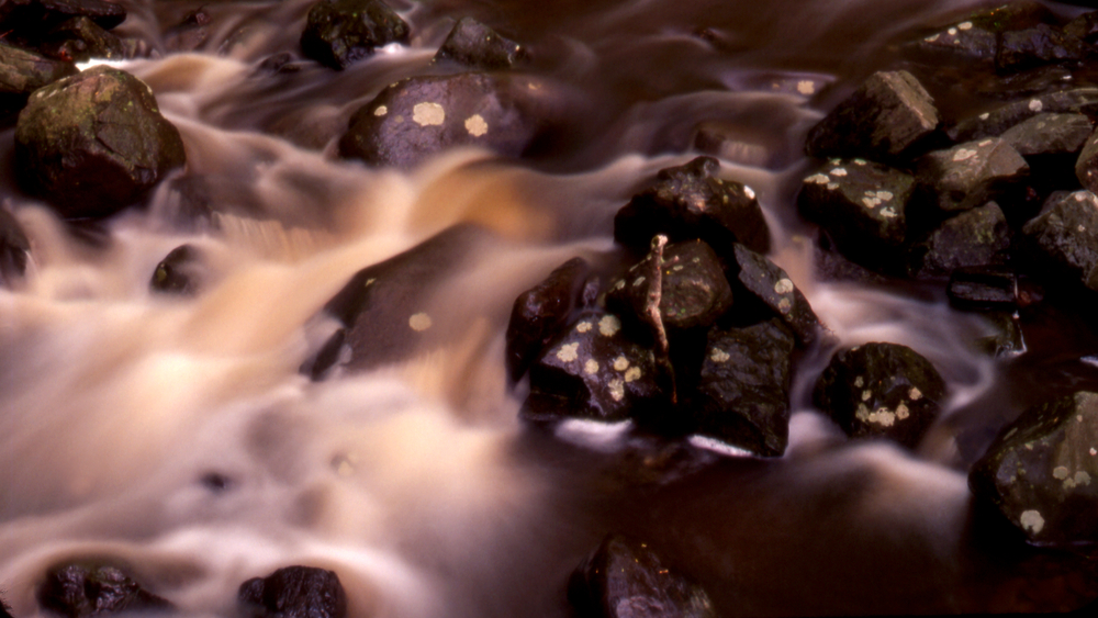 20101028171418-dream_1