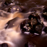 20101028171418-dream_1
