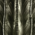 20101028174924-pachycereus_pringlii__falbrook__ca__2009