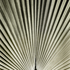 20101028175336-palm_leaf_study__encino__ca__2009