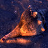 20101028215727-whelk
