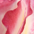 20101029145025-garbarini_04_crimsoncurve