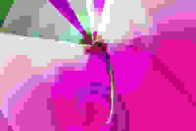 20101031125230-pink